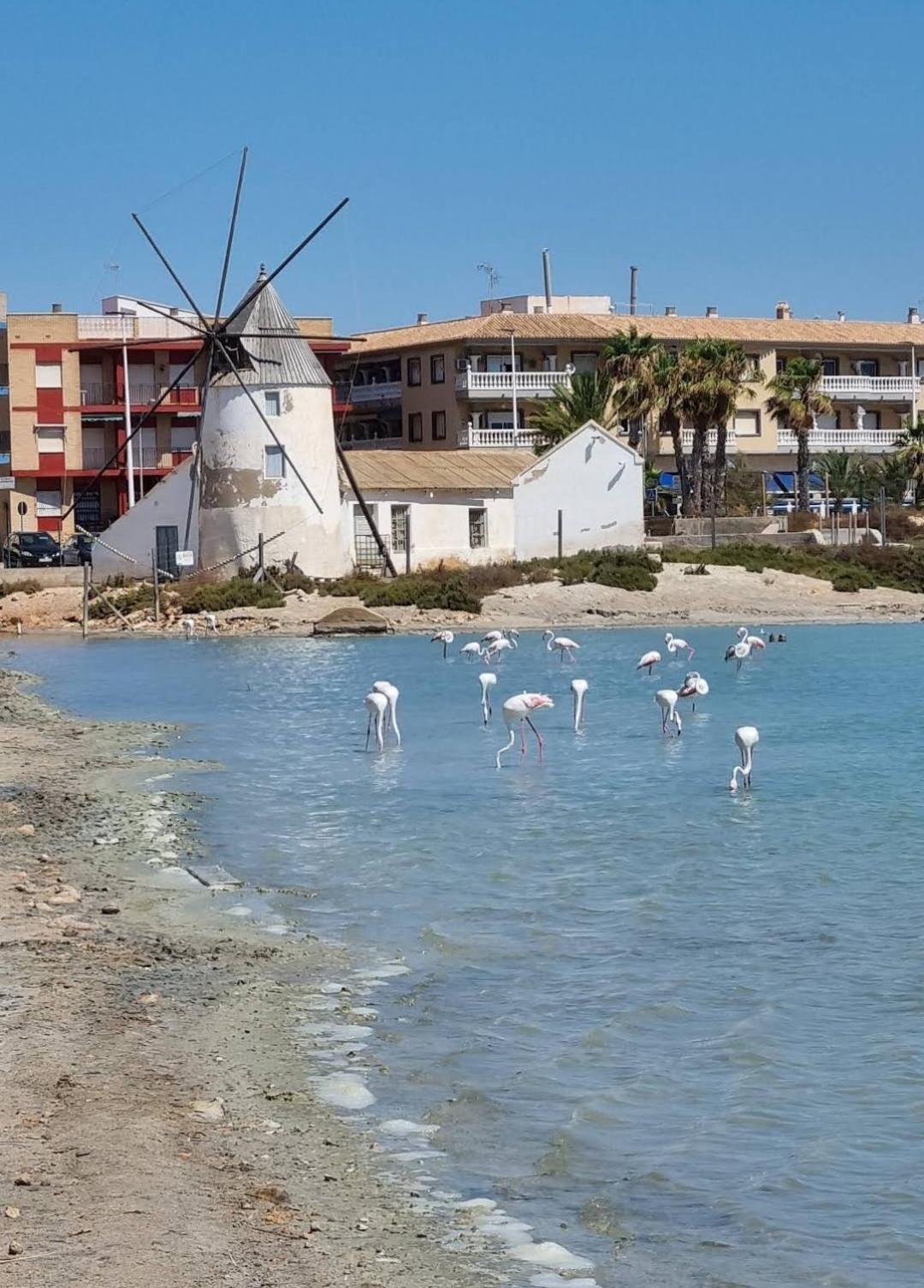 شقة Casa Del Sol سان بيذرو ذيل بيناتا المظهر الخارجي الصورة